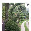 힐링정원 이미지