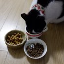 원탑덴탈 이미지