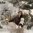 오오티디(OOTD) 이미지