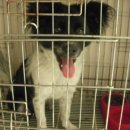 신석초교 이미지