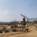골프랜드