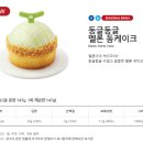 돔케이크