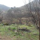 유전2리 이미지