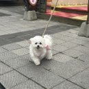 콩나루콩나물국밥아중점 이미지