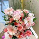 벨르마망 산후조리원 이미지