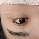 대전 둔산동 / 둔산, 갈마동 속눈썹 펌 만족 후기, 스튜디오 우디