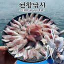 선창마을 | [거제도] 선상낚시 체험 선창낚시 후기(내돈내산)