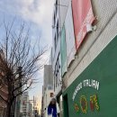 주식회사 스마트렌트카 | 겨울 삿포로 비에이투어 당일 버스투어 일정 코스 흰그림자투어 소규모투어 비에이 당일치기 내돈내산 후기