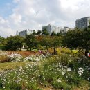 상동호수공원 이미지