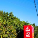 강정동-77 이미지