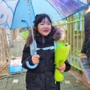 경희대 도담 태권도장 이미지