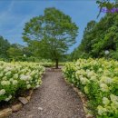 스파펜션링스 | [가평 숙소 펜션 엠티 장소 추천] 더스테이힐링파크 휴식과 즐거움을 동시에