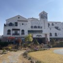 숲은성유치원 이미지