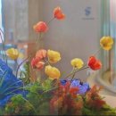 스테이 하루 이미지