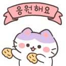 사랑펫살롱 이미지