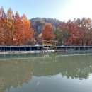 배내미낚시터 이미지