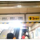 유정선 이미지