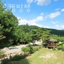 청주숙소 추천 씨앗골캠핑장 방문자 후기 리뷰