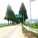 위도초등학교 | 부안.위도(2009.7.31-8.1)