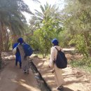 알리투어 이미지