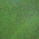 서울만남(부산) 이미지