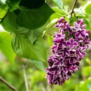 옹진행정사 이미지