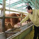 강진축협한우전문판매점