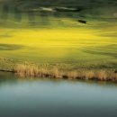 센테리움CC(회원제) 이미지