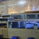 남해도횟집 이미지