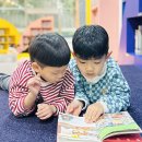 도토리 강아지 유치원 이미지