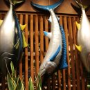 진참치상모사곡점 이미지