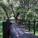 백두대간한옥펜션 | 영덕 웰니스 여행 숲체험 국제H웰니스페스타2025 축제 맨발걷기 체험