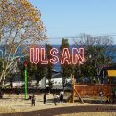 [초등1~3학년] 꿈트리 어린이 독서동아리 | 울산 아이랑 가볼만한곳, 별바다 도서관 주말 나들이 (임시운영, 주차장, 준비물, 꿀팁)