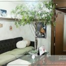 상도온누리약국 이미지