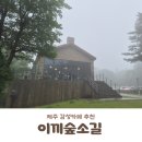이끼이야기 | 제주도 비 오는 날 가볼 만한 곳 안개 낀 운치가 예술인 애월 감성 카페 '이끼숲소길' 후기 ☔️