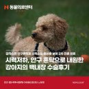 맑은 동물의료센터 이미지