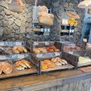 베어하우스 이미지