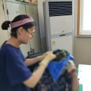 김명숙헤어샵 이미지