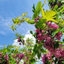 불광천5 이미지