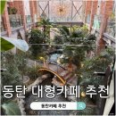 바스멍 | 동탄 대형 카페 바스타미 주차, 뷰 명당 (식물 카페 힐링 후기)