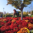 진주누리유치원 | 진주 국제농식품박람회 국화축제 2025 방문후기