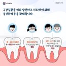 건강이네 이미지