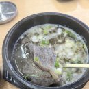 광주 농성동 황금곰탕 뜨끈한 수육곰탕으로 해장한 내돈내산 후기