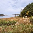 화진포 자전거대여소 이미지