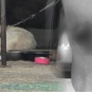대한카센터 이미지