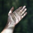 소소한이야기 이미지