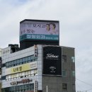 새본 정형외과 이미지