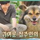 tvN 삼시세끼 LiGHT 1 이미지