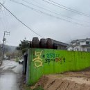 열매마을7단지(아)경로당 | [경기/이천] 산수유마을 산수유축제 3월 4월 봄꽃축제 2025 실시간 개화현황 비오는 날 방문후기