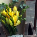 후리지아 이미지